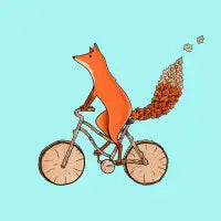 Fox Bicycle - design
