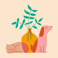Nature Shapes - design