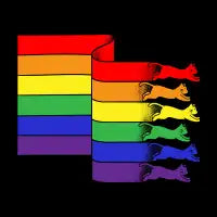 Rainbow flag cats - design