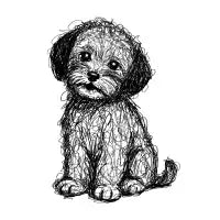 Scribble Dog - design