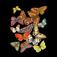 Butterflies - dark - design