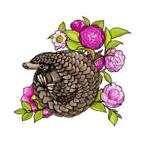 Pangolin - design