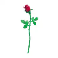 A Single Rose - design