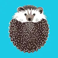 Huffy Hedgehog - design