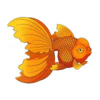 Fish (orange) - design