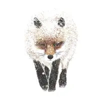 The Hunt - design