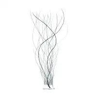 Creation - design