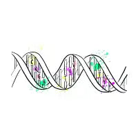 Creative DNA - design