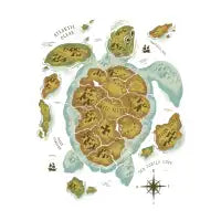 Turtle Island - design