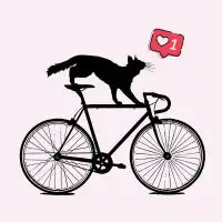 Cat One - design