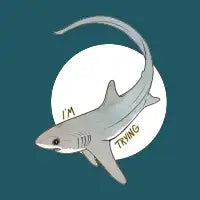 I’m Trying - design
