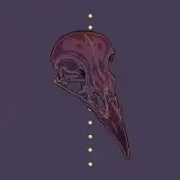 The Crow - design
