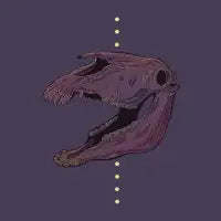 The Horse - design