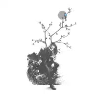 Bluejay - design