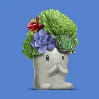 Bloom - design