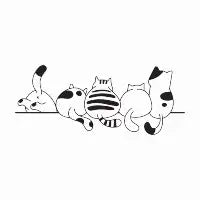Cats - design