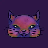 Galaxy Cat - design