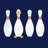 DUCKPIN - design