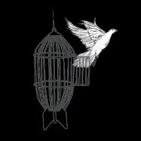 Peace Now! - design