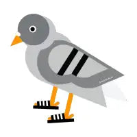 David - design