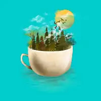 Here Comes the Sun - design