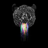 WILD PANDA - design