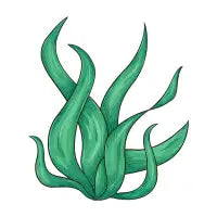 Wavy green plant - design