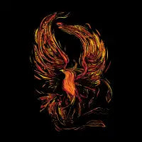Phoenix - design