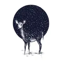 Snow Flake - design