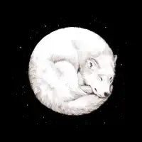 The Howl of the Moon - design