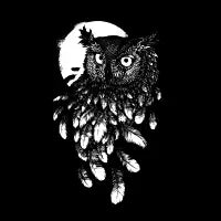 Vanishing in the Night - design