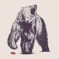Bear Block - design