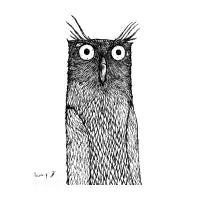 Owl - design