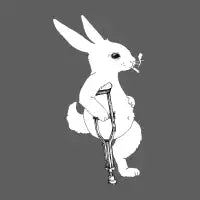 Lucky - design