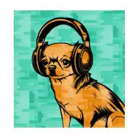 DJ ChiChi - design