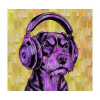 DJ Scruff - design