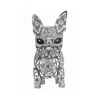 “Roger” the french bulldog - design