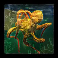 Octopus - design