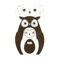 Owls - design