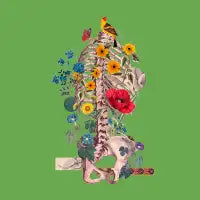 bones & flowers - design