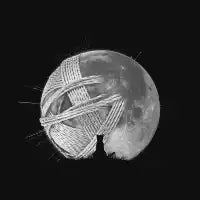 The Cat and the Moon of Yarn - design