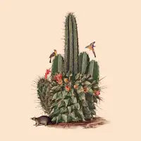 nature's message to humanity - design