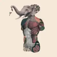The elephant man - design