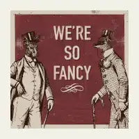 We´re so fancy - design