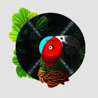 Bird Tunes - design