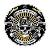 - MOTORCYCLE SKULL - - design