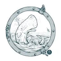 - WHALE - - design