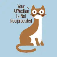 Right Back Cat You - design