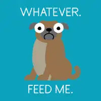 The Pugly Truth - design