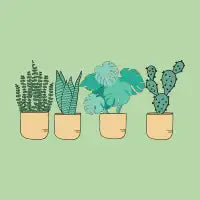 MINIMAL PLANT DESIGN - design